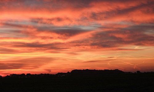 Zdjęcie NIEMCY / Nadrenia Północna-Westfalia / okolice Kolonii / poranek w okolicach Kolonii