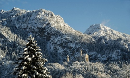 Zdjecie NIEMCY / Bawaria / - / Neuschwanstein