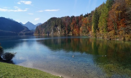 Zdjecie NIEMCY / Bawaria / Jezioro Alpsee / Sielanka