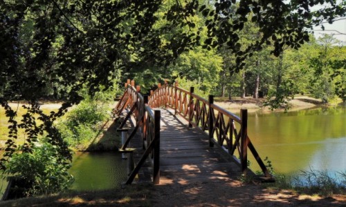 Zdjcie NIEMCY / Brandenburgia / Park Krajobrazowy w Branitz / drewnianym mostkiem...