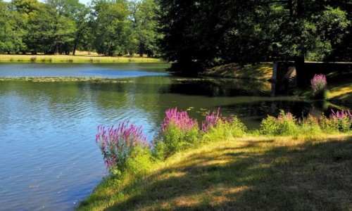 Zdjcie NIEMCY / Brandenburgia / Park Krajobrazowy w Branitz / i znw - szkoda lata...