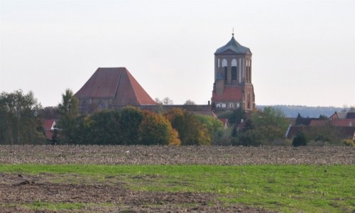 Zdj�cie NIEMCY / Brandenburgia / Gartz (Oder) / Widok na ko�ci� w Gartz (Oder)