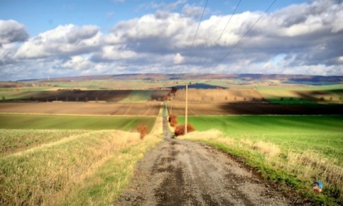 Zdjecie NIEMCY / Dolna Saksnia / Schoppenstedt / Daleko tam
