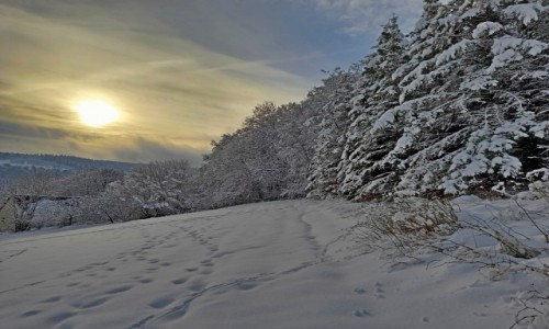 Zdjcie NIEMCY / Westfalia / Sauerland / - biay puch  -