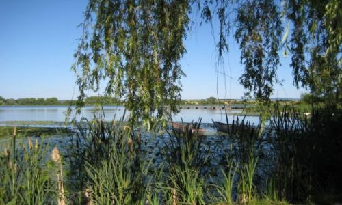 Zdjecie NIEMCY / brak / Seeburger See / Seeburger See