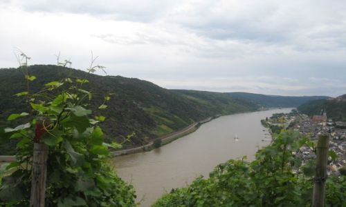 Zdjcie NIEMCY / Nadrenia / Okolice Bad Breisig / Kraina Lorelei
