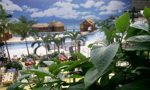 Zdjecie NIEMCY / Krausnik / Tropical Islands / Las Tropicalny
