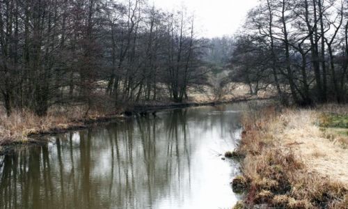 Zdjecie NIEMCY / Berlin / Pankow - Park miejski / Spacer po parku 6