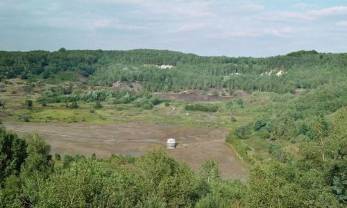 Zdjęcie NIEMCY / Hesja / Messel / Messel