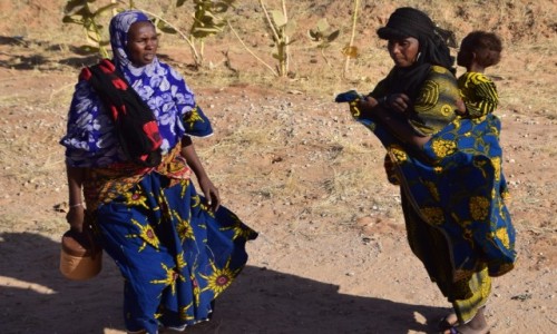 Zdjecie NIGER / Niger poudniowy / Dosso / Jak kolorowe motyle
