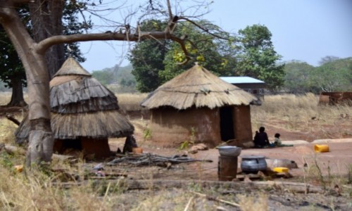 NIGER / Niger poudniowy / Malanville / Gospodarstwo popegieerowskie