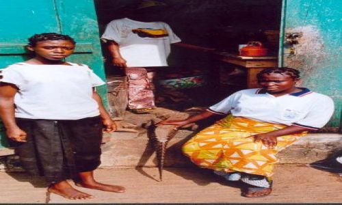 NIGERIA / brak / Okolice Lagos / Targ - krokodyl na obiadek.