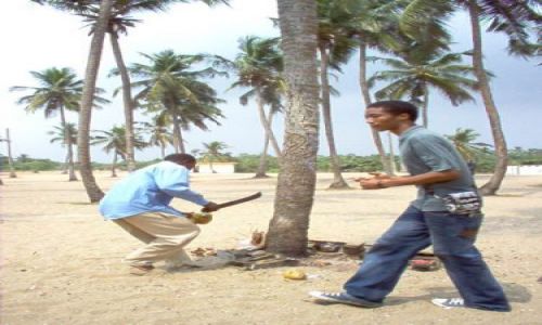 Zdjecie NIGERIA / brak / alfa beach / Nigeria zima:)