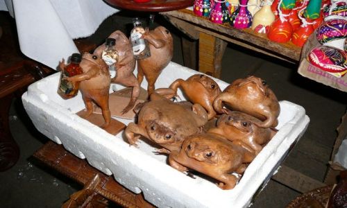 Zdjecie NIKARAGUA / Granada / bazar / Żabki dla ekologa