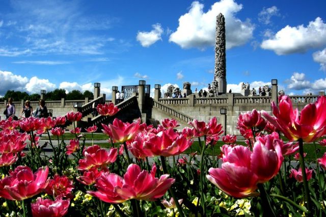 Zdjęcia: Oslo, park Vigelanda, Tulipany, NORWEGIA Zdjęcia: Oslo, park Vigelanda, Tulipany, NORWEGIA