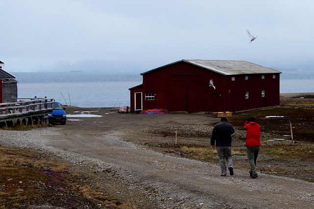 Zdjęcia: Ny Alesund, Spitsbergen, Miejsca "ataków" 1, NORWEGIA Zdjęcia: Ny Alesund, Spitsbergen, Miejsca "ataków" 1, NORWEGIA