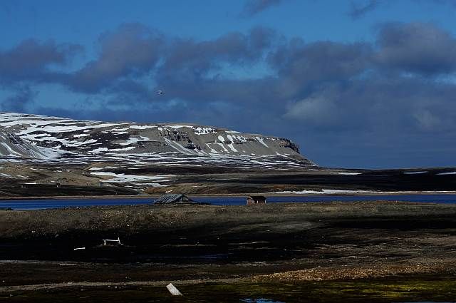 Zdjęcia: Ny Alesund, Spitsbergen, Zatoka , NORWEGIA Zdjęcia: Ny Alesund, Spitsbergen, Zatoka , NORWEGIA