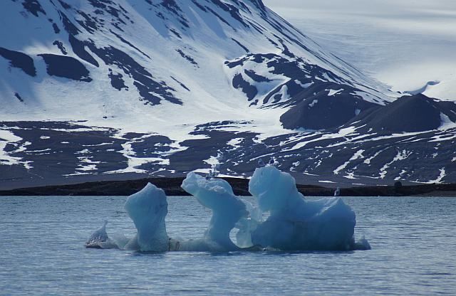 Zdjęcia: Ny Alesund, Spitsbergen, Coś!, NORWEGIA Zdjęcia: Ny Alesund, Spitsbergen, Coś!, NORWEGIA