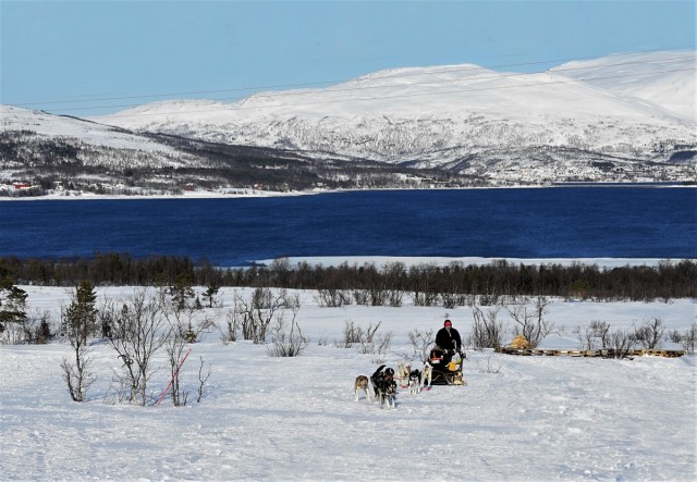 Zdj cia: Kvaløya, Troms, Zaprzg, NORWEGIA