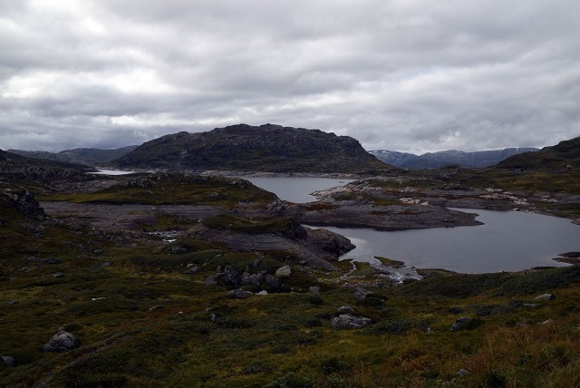 Zdj cia: Harddangervidda, Telemark, Harddangervidda, NORWEGIA Zdj cia: Harddangervidda, Telemark, Harddangervidda, NORWEGIA