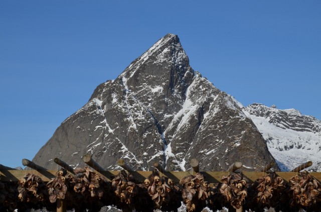 Zdj cia: Sakrisoy, Lofoty, Olstind w maju, Lofoty, Norwegia, NORWEGIA Zdj cia: Sakrisoy, Lofoty, Olstind w maju, Lofoty, Norwegia, NORWEGIA