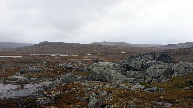 Zdj cia: Hardangervidda, Vestland, Hardangervidda, NORWEGIA Zdj cia: Hardangervidda, Vestland, Hardangervidda, NORWEGIA