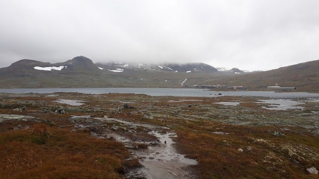 Zdj cia: Hardangervidda, Vestland, Finse, NORWEGIA Zdj cia: Hardangervidda, Vestland, Finse, NORWEGIA