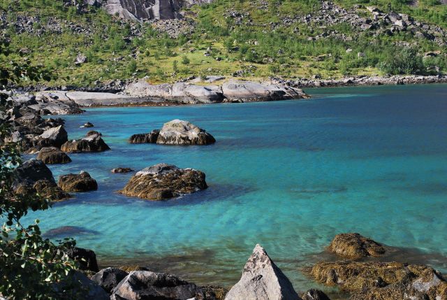 Zdjęcia: reine, reine, Fiord1, NORWEGIA Zdjęcia: reine, reine, Fiord1, NORWEGIA