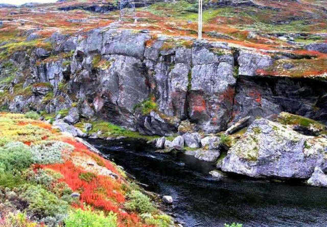 Zdjęcia: okolice Laerdal, Okolice Sognefiordu, Sognefiord, NORWEGIA Zdjęcia: okolice Laerdal, Okolice Sognefiordu, Sognefiord, NORWEGIA