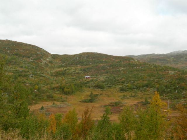Zdjęcia: gdzieś na południu Norwegii, Sognefiord, hytte, NORWEGIA Zdjęcia: gdzieś na południu Norwegii, Sognefiord, hytte, NORWEGIA