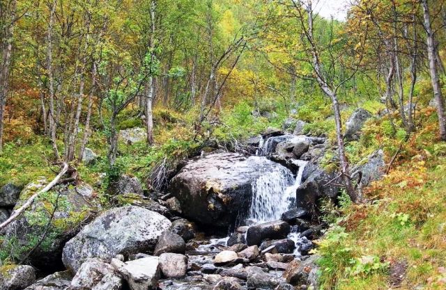 Zdjęcia: okolice Geilo, okolice Geilo, w drodze do wodospadu Hagafoss, NORWEGIA Zdjęcia: okolice Geilo, okolice Geilo, w drodze do wodospadu Hagafoss, NORWEGIA