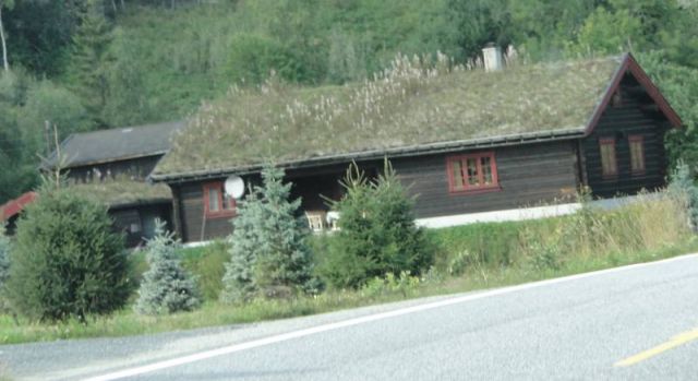 Zdjęcia: okolice Veggli, Buskerud, Środkowa Norwegia 5 - "Hytte", NORWEGIA Zdjęcia: okolice Veggli, Buskerud, Środkowa Norwegia 5 - "Hytte", NORWEGIA