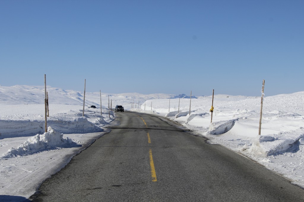 Zdjęcia: Hardangervida, Hordaland, Hardangervida, NORWEGIA Zdjęcia: Hardangervida, Hordaland, Hardangervida, NORWEGIA