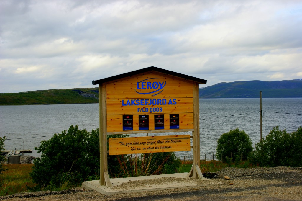 Zdjęcia: Norwegia, Norwegia, Norwegia, NORWEGIA Zdjęcia: Norwegia, Norwegia, Norwegia, NORWEGIA
