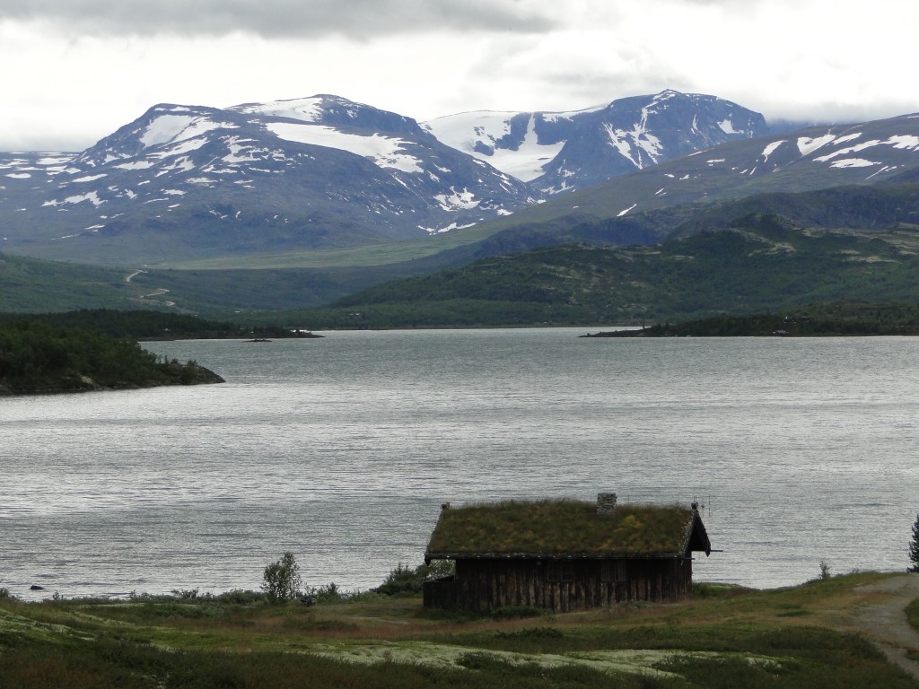Zdjęcia: Norwegia, Norwegia, Sierpniowy śnieg, NORWEGIA Zdjęcia: Norwegia, Norwegia, Sierpniowy śnieg, NORWEGIA