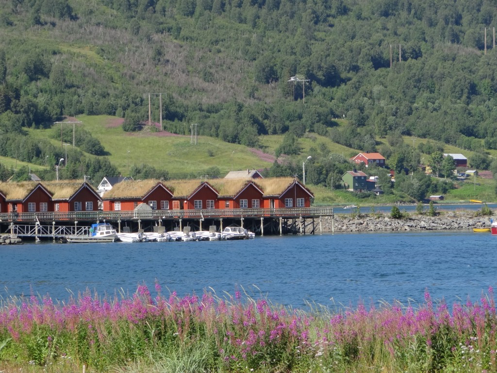 Zdjęcia: Norwegia, Norwegia, Norweskie lato, NORWEGIA Zdjęcia: Norwegia, Norwegia, Norweskie lato, NORWEGIA