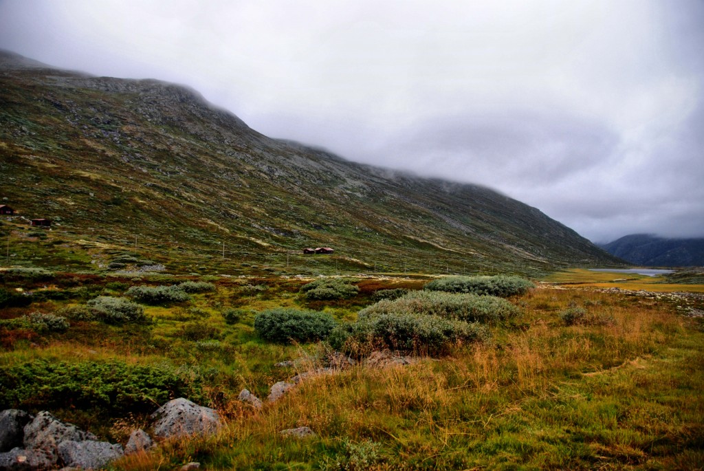 Zdjęcia: Hemsedal, -Buskerud, NORWAY, NORWEGIA Zdjęcia: Hemsedal, -Buskerud, NORWAY, NORWEGIA