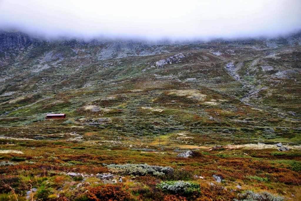 Zdjęcia: Hemsedal, -Buskerud, NORWAY, NORWEGIA Zdjęcia: Hemsedal, -Buskerud, NORWAY, NORWEGIA