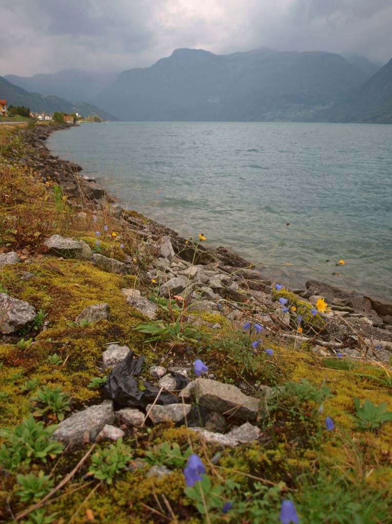 Zdjęcia: Djupvatnet, sogn og fjordane, Górskie jezioro, NORWEGIA Zdjęcia: Djupvatnet, sogn og fjordane, Górskie jezioro, NORWEGIA