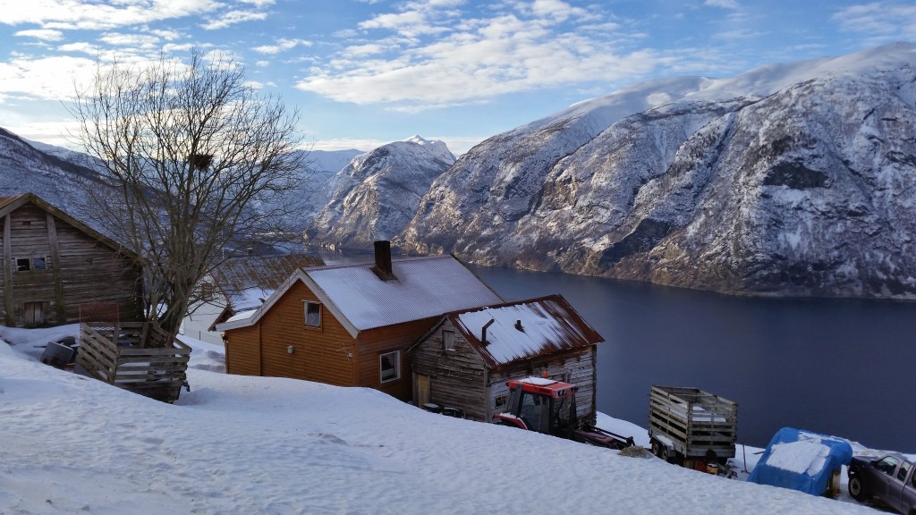 Zdjęcia: Aurland, Sogn og Fjordane, Aurlandsfjorden..., NORWEGIA Zdjęcia: Aurland, Sogn og Fjordane, Aurlandsfjorden..., NORWEGIA