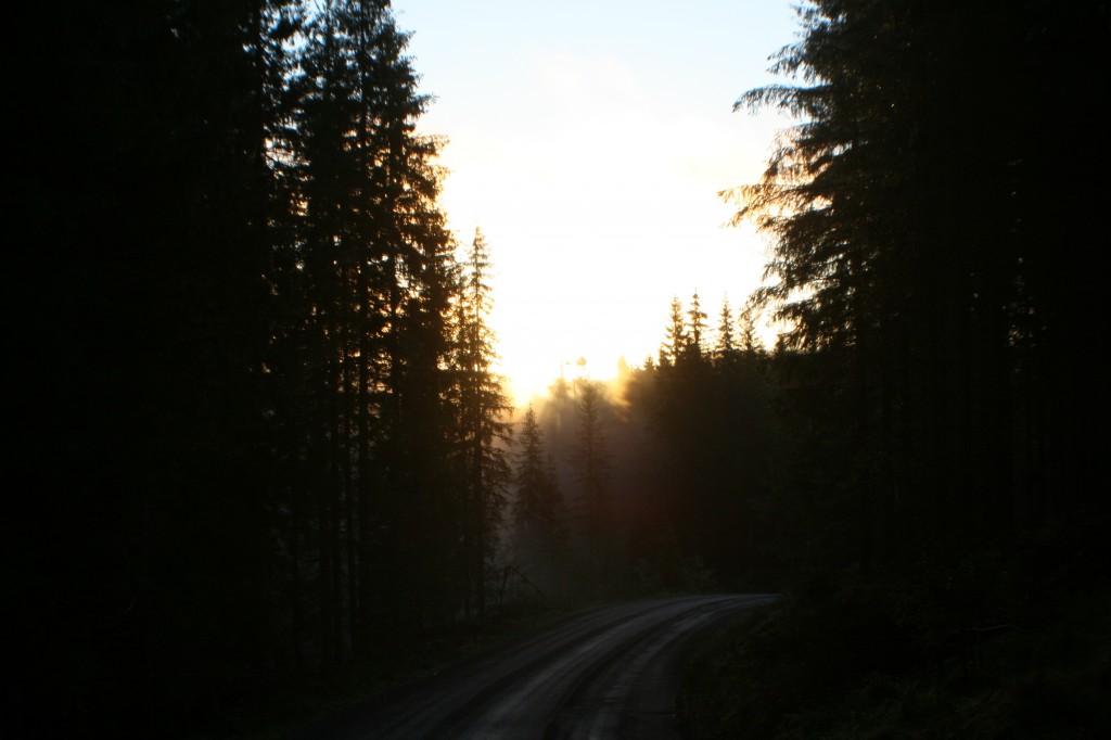 Zdjęcia: Hadeland, Oppland, Wschód, NORWEGIA Zdjęcia: Hadeland, Oppland, Wschód, NORWEGIA