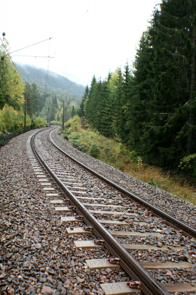 Zdjęcia: Hadeland, Oppland, Przez las, NORWEGIA Zdjęcia: Hadeland, Oppland, Przez las, NORWEGIA