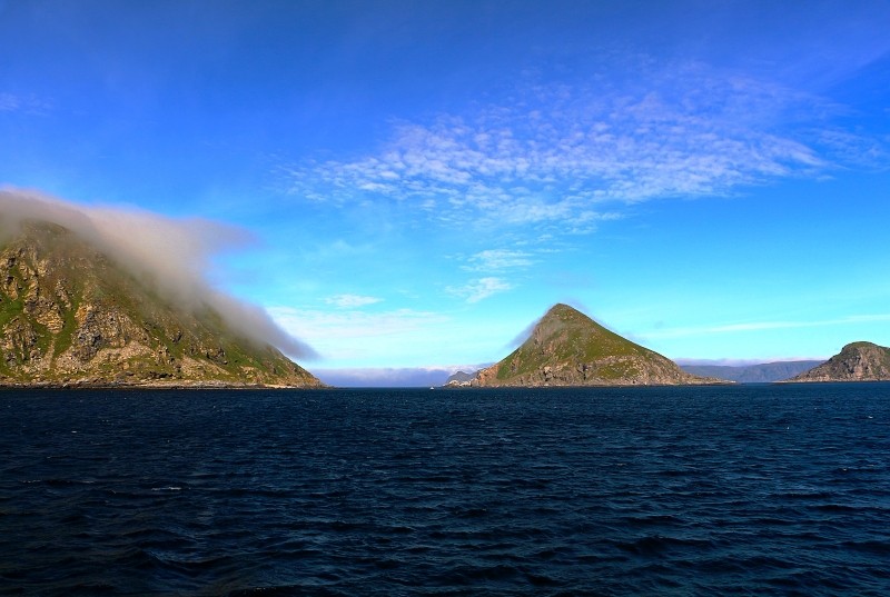 Zdjęcia: Gjesvear, norweski okręg Finnmark, Bird Safari.., NORWEGIA Zdjęcia: Gjesvear, norweski okręg Finnmark, Bird Safari.., NORWEGIA