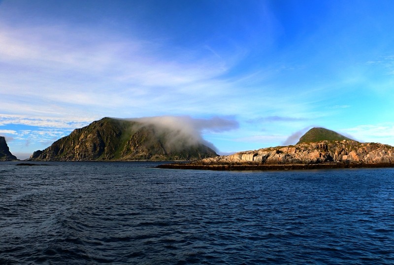 Zdjęcia: Gjesvear, norweski okręg Finnmark, Bird Safari..., NORWEGIA Zdjęcia: Gjesvear, norweski okręg Finnmark, Bird Safari..., NORWEGIA