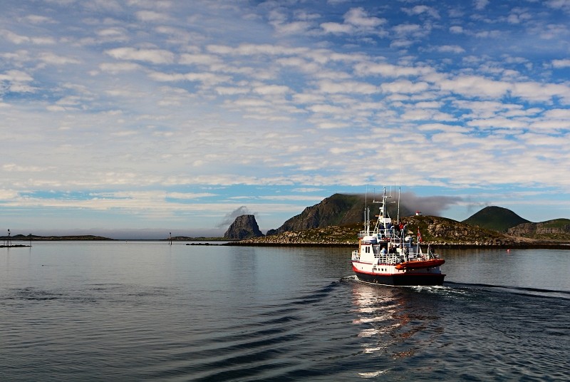Zdjęcia: Gjesvear, norweski okręg Finnmark, Bird Safari...., NORWEGIA Zdjęcia: Gjesvear, norweski okręg Finnmark, Bird Safari...., NORWEGIA