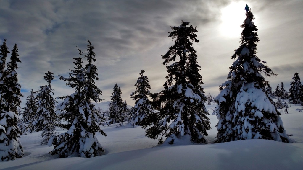 Zdjęcia: Trysil, Hedmark, zima..., NORWEGIA Zdjęcia: Trysil, Hedmark, zima..., NORWEGIA