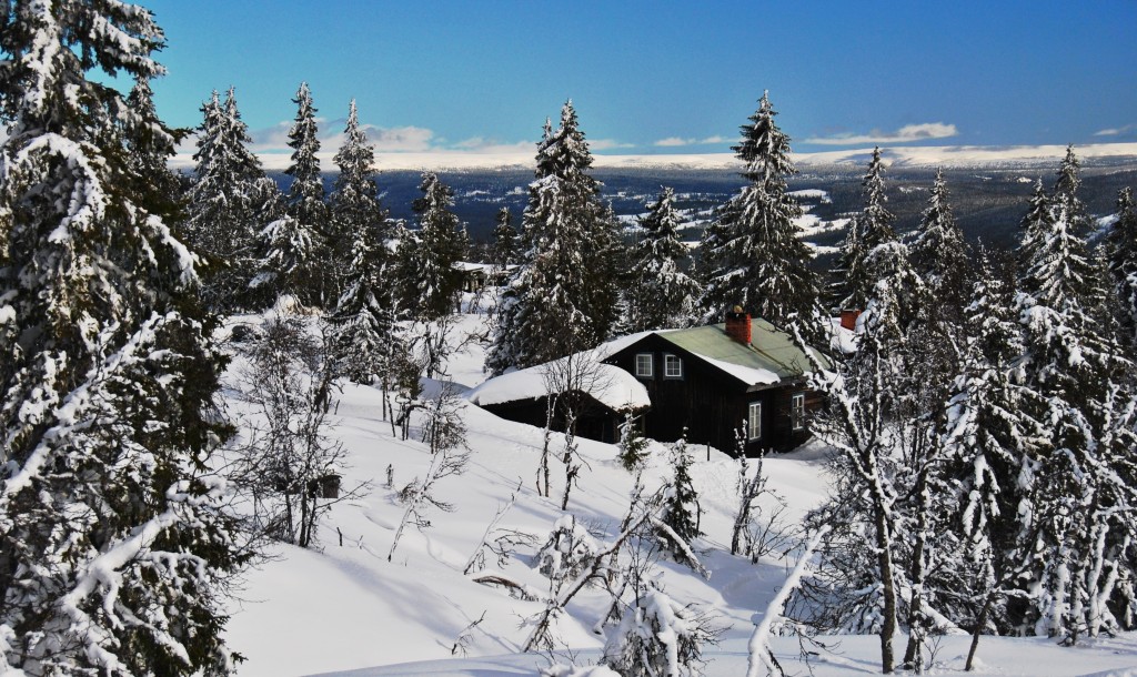 Zdjęcia: Trysil, Hedmark, zima..., NORWEGIA Zdjęcia: Trysil, Hedmark, zima..., NORWEGIA
