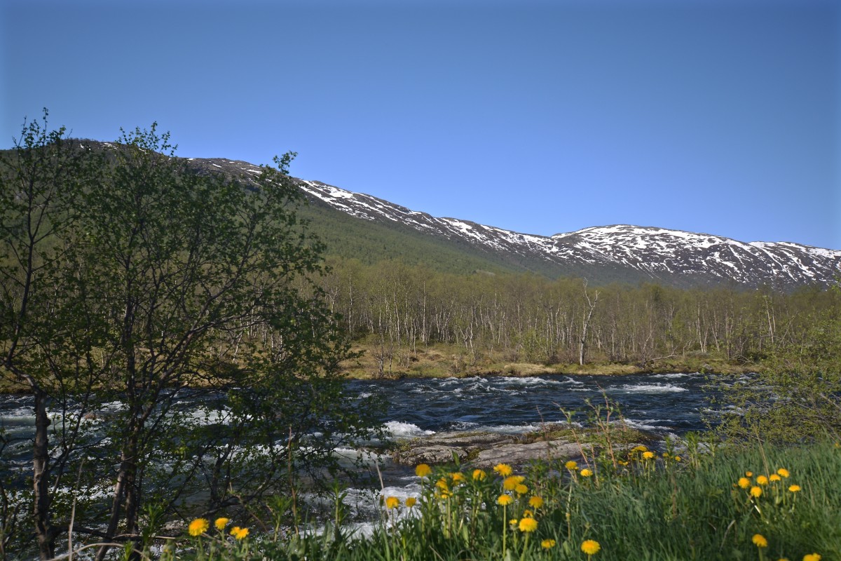 Zdjęcia: Hemsedal, Buskerud, wiosna..., NORWEGIA Zdjęcia: Hemsedal, Buskerud, wiosna..., NORWEGIA