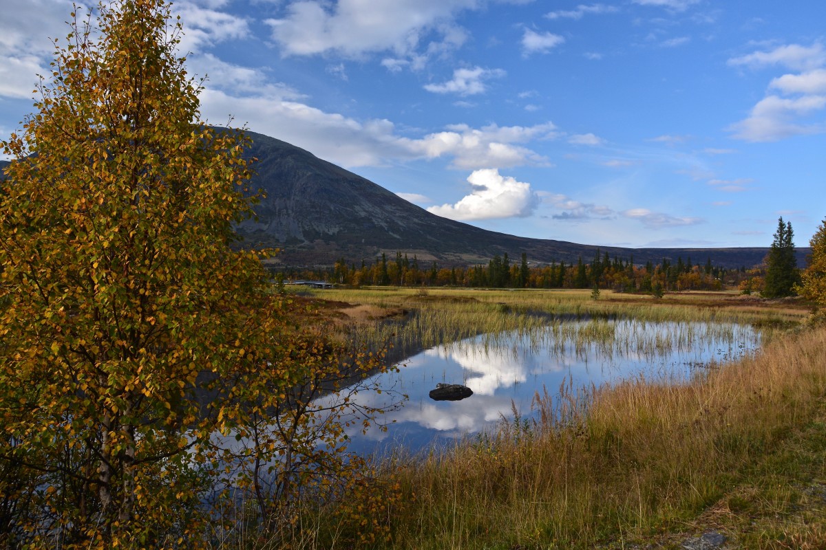 Zdjęcia: Hemsedal, Buskerud, jesień..., NORWEGIA Zdjęcia: Hemsedal, Buskerud, jesień..., NORWEGIA