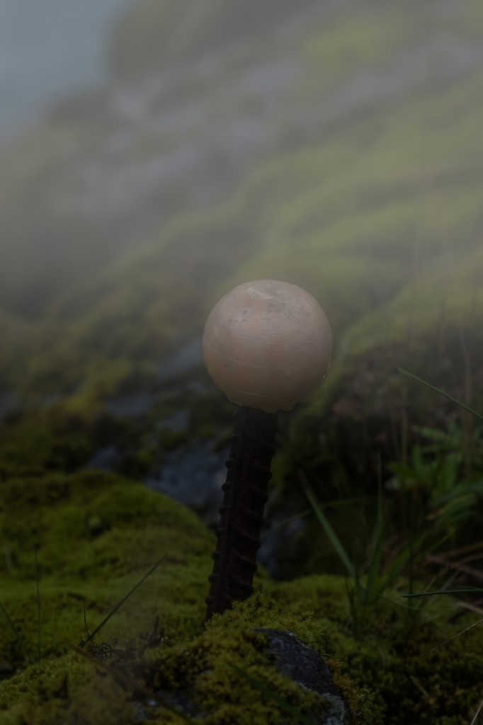 Zdjęcia: Folve, płn. Norwegia, Może... iron mushroom...., NORWEGIA Zdjęcia: Folve, płn. Norwegia, Może... iron mushroom...., NORWEGIA